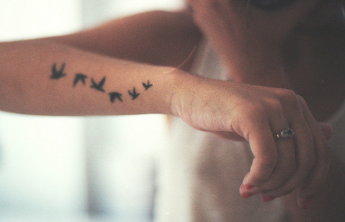 arm, birds and black
