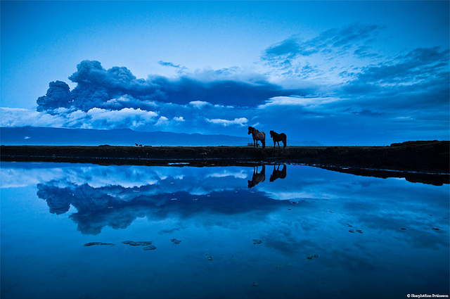 blue, horses and hour