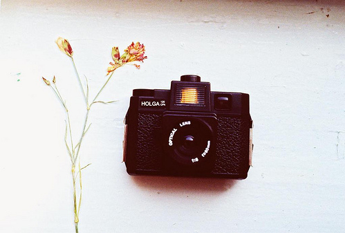 camera, flower and holga