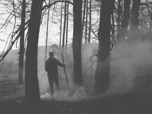 black and white, fire, forest, smoke, winter
