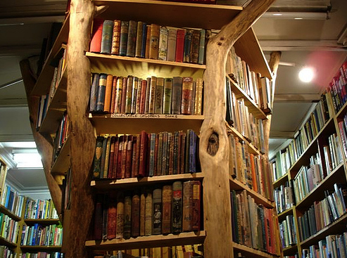 book, books and bookshelf