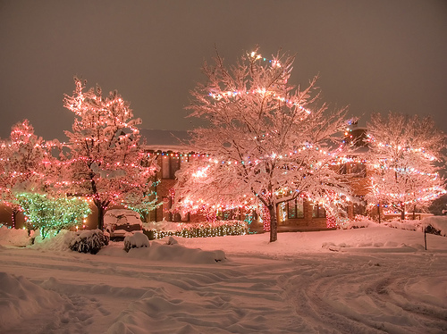Christmas Lights Pink Pink Trees Snow Trees Image 81912 On