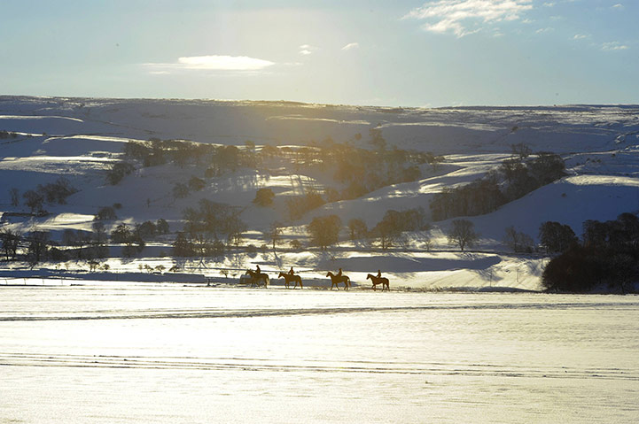 cold, england and horses