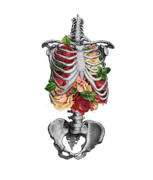 anatomy, art and flowers
