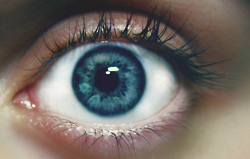 blue,  eye and  eyelashes