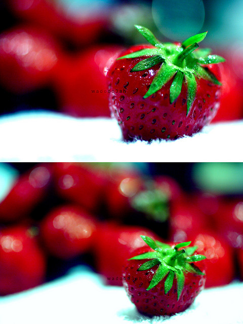 bokeh, fruits and red