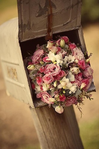 bouquet, box and flower