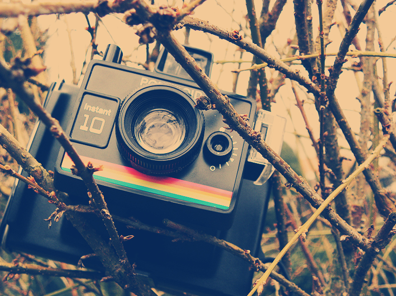 camera, photography and polaroid