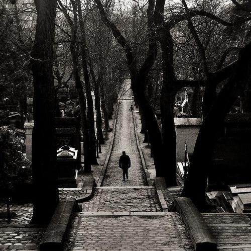 alone, cementary and cold