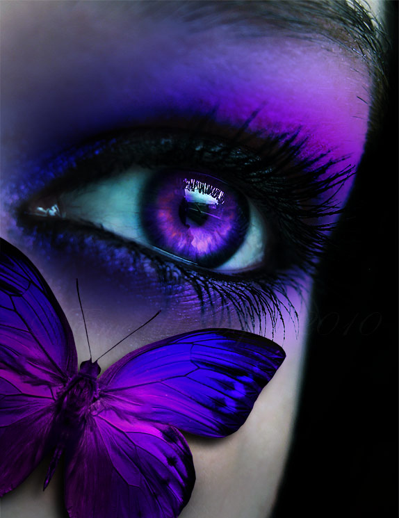 beautiful, butterfly and eye