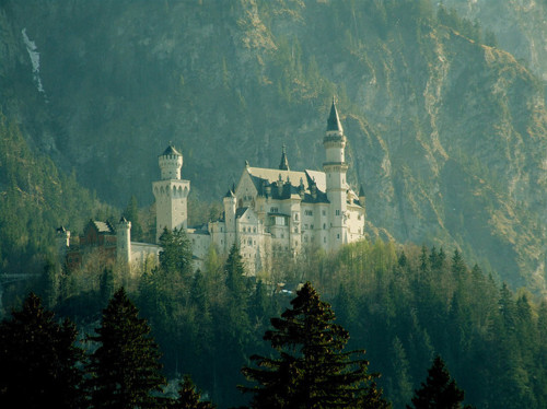 castle, forest and hogwarts
