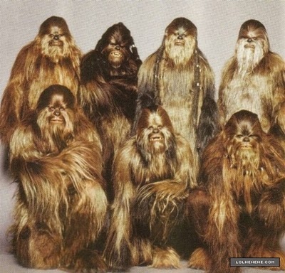 chewbacca, family and hairy