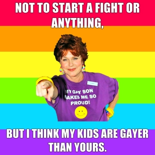 gay,  gay rights and  meme
