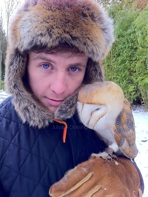barn owl, blue eyes and cute