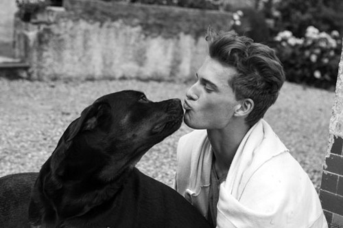 black and white, dog and kiss