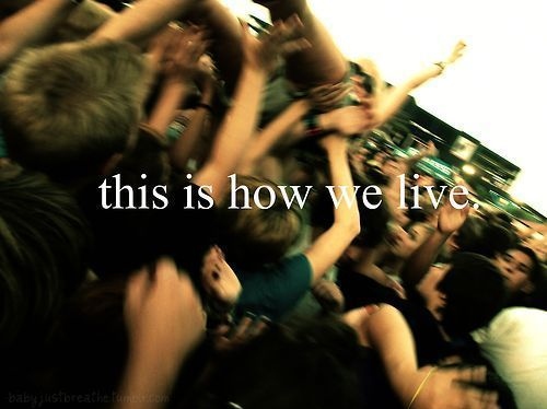 concert, crowd and crowd surf
