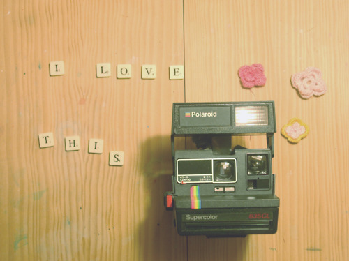 flowers, indie, love, photography, pink, polaroid
