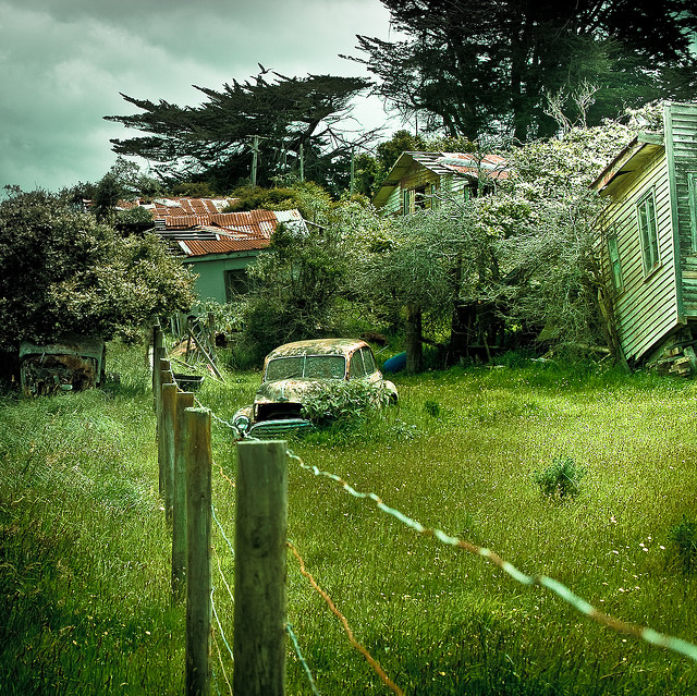 abandoned, car and grass