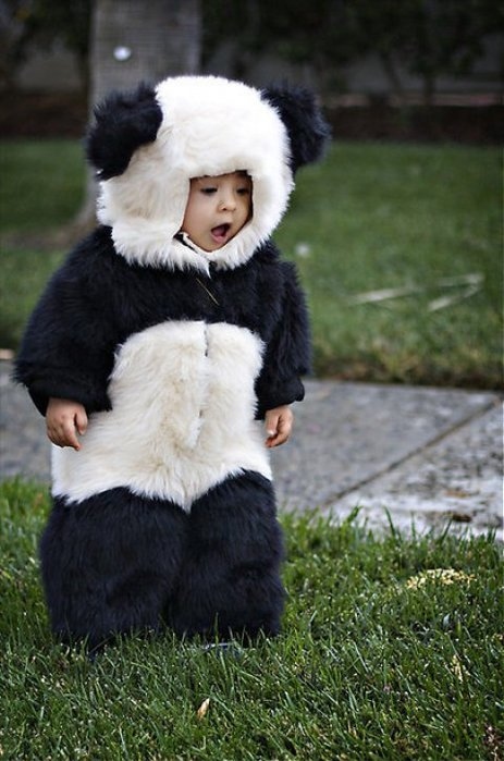 adorable, baby, children, costume, cute, kid