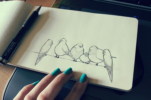 birds, cute and drawing