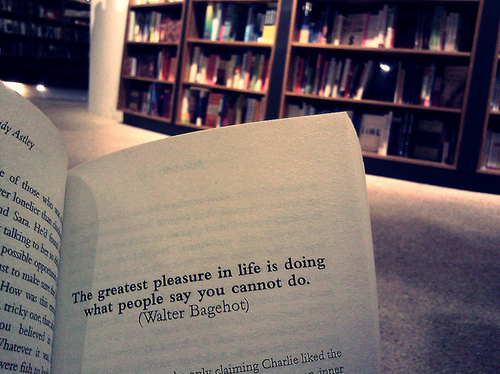 book, pleasure and quote