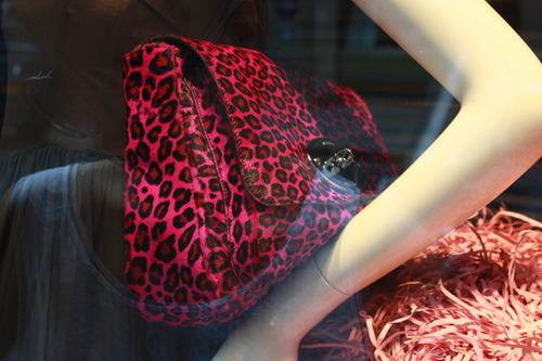 bag, fashion and leopard print