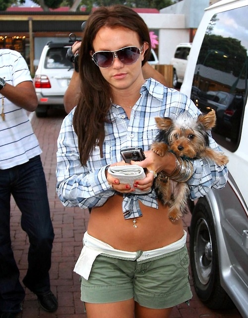 britney, britney spears and dog
