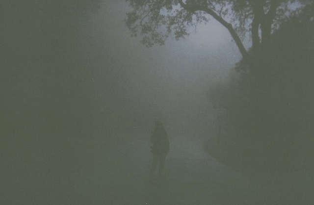 creepy, dark and fog