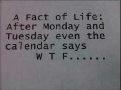 a fact of life,  cute and  friday
