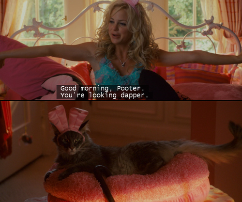 anna faris, bunny, comedy, cute, dapper, funny
