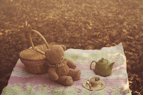 basket, bear and cute