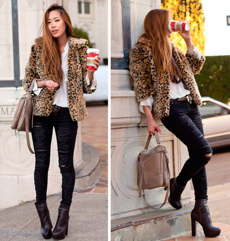 coffee, fashion and leopard print