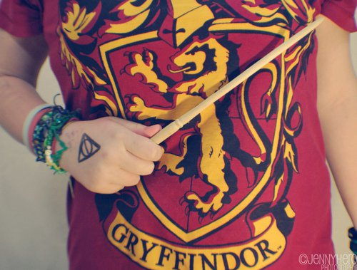 fat, gryffindor and harry potter