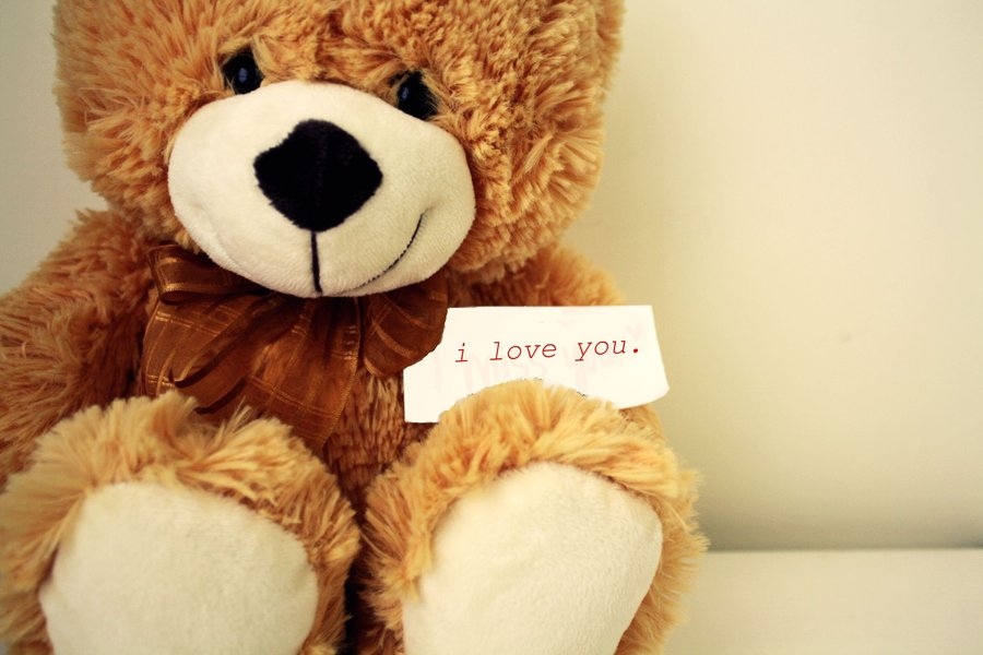 bear, cute and i love you