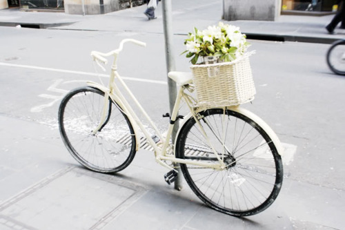 bicycle, photography and pretty