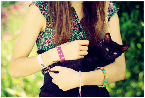 black, cat and cute