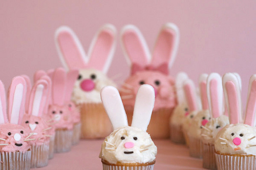 bunnies, bunny and cupcake