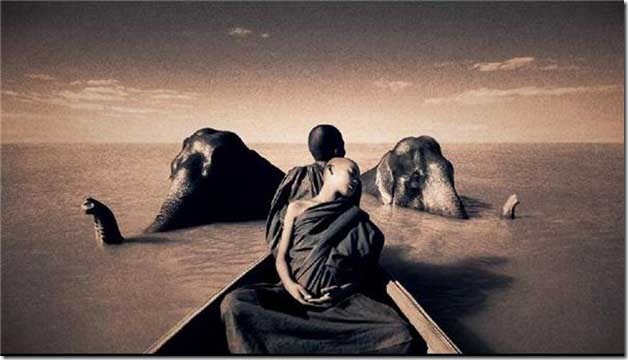 canoe, elephants and nature