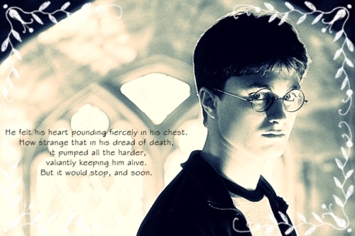 deathly hallows, edited and half-blood prince