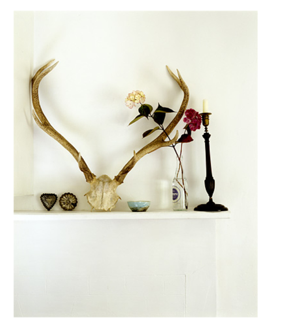 antlers, art and berry