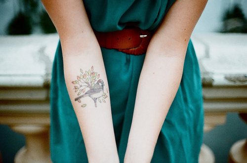 arms, bird and bird tattoo
