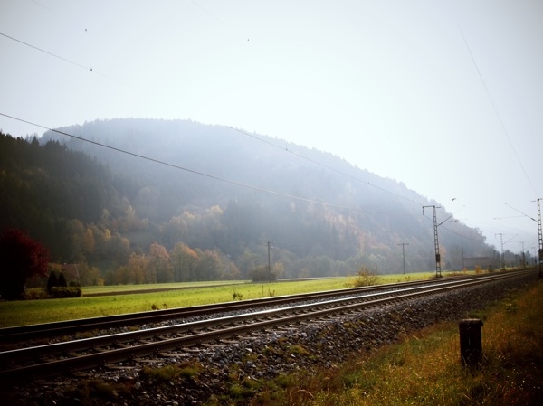 autumn, fog and lonely