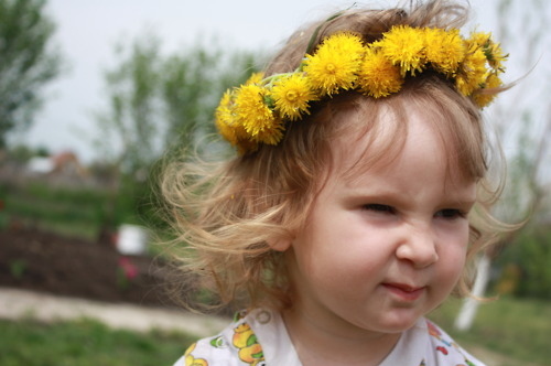 baby, cool, dandelion, flowers, funny, summer