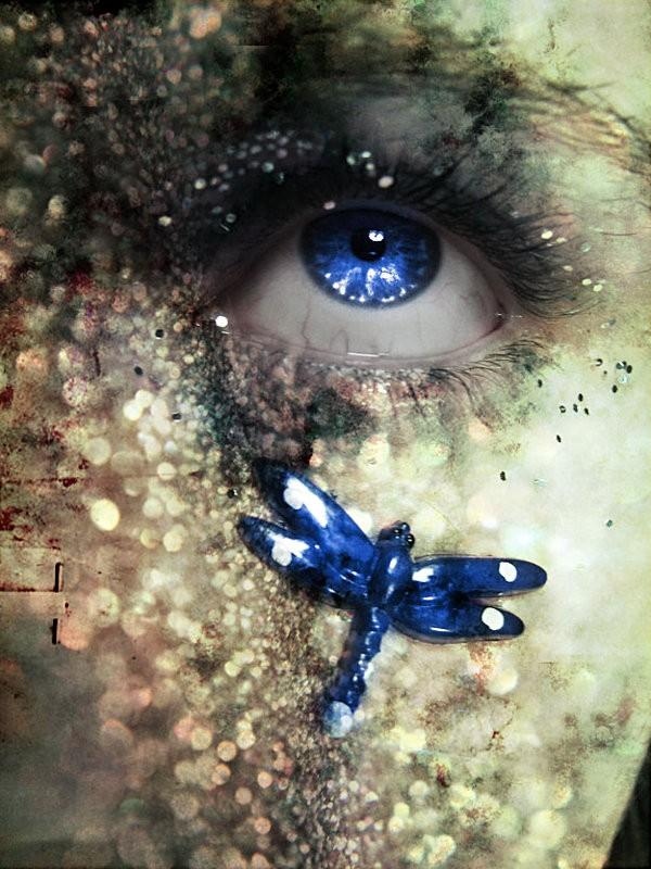 blue, dragonfly and eye