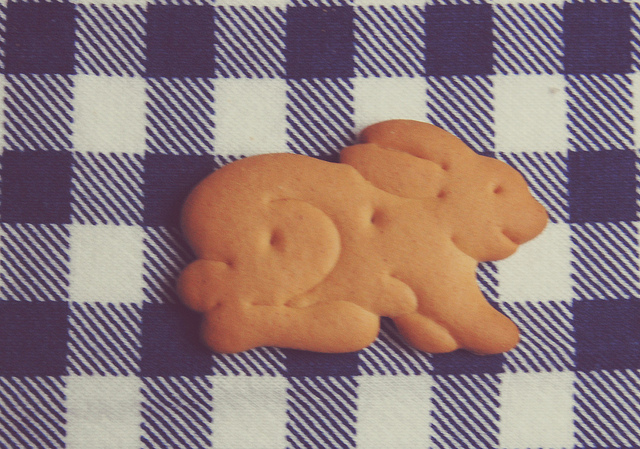 animal cookie, bunny and bunny cookie