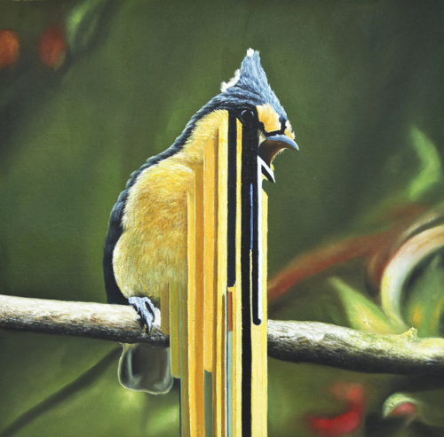 art, birds and maurizio bongiovanni