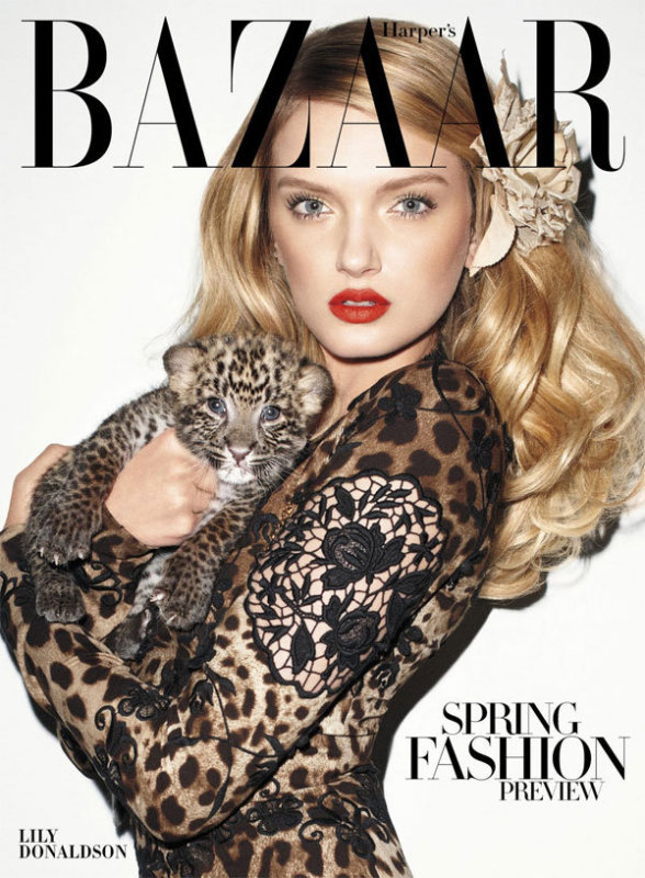 bazaar, cover, leopard, lily donaldson, model, style