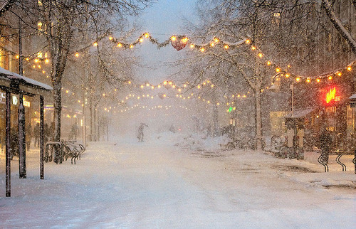 lights, pretty and snow