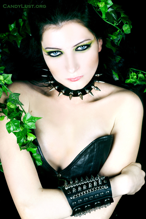 http://favim.com/orig/201107/07/alternative-alternative-girl-beauty-black-corset-candylust.org-corset-Favim.com-96648.jpg