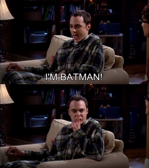 batman, big bang theory and funny
